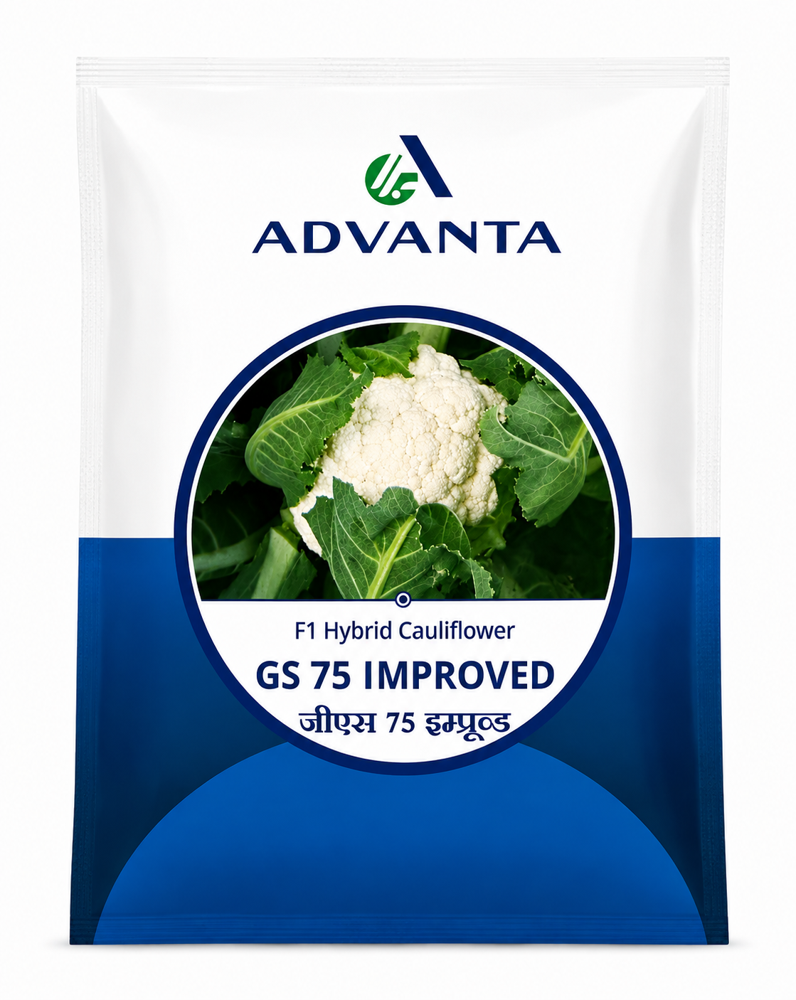 Advanta F1 Hybrid GS-75 Improved Cauliflower Seeds (GOBHI)