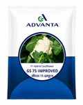 Advanta F1 Hybrid GS-75 Improved Cauliflower Seeds (GOBHI)