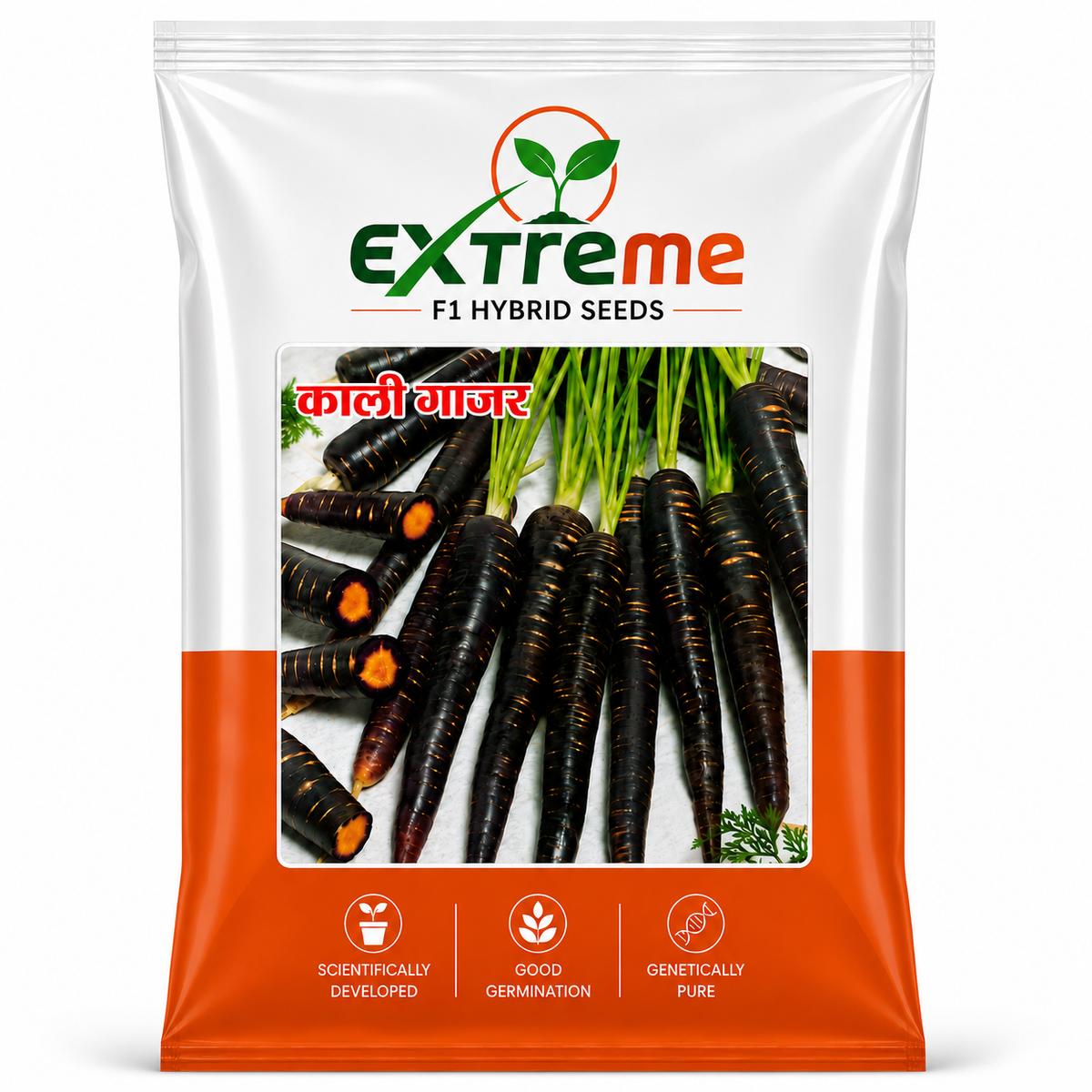 Extreme F1 Hybrid Black Carrot (Kali Gajar) Seeds 5g | High Germination Vegetable Seeds for Kitchen Garden, Home Garden & Farm | Sweet, Nutritious, Deep Purple Carrot Seeds