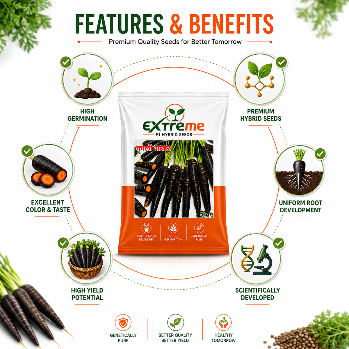 Extreme F1 Hybrid Black Carrot (Kali Gajar) Seeds 5g | High Germination Vegetable Seeds for Kitchen Garden, Home Garden & Farm | Sweet, Nutritious, Deep Purple Carrot Seeds