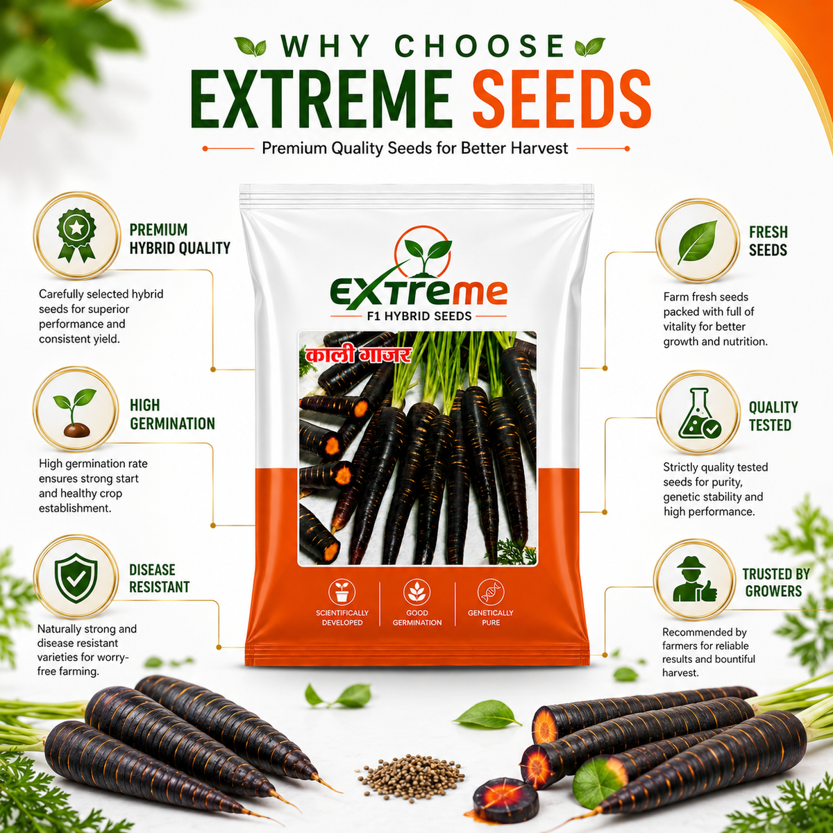 Extreme F1 Hybrid Black Carrot (Kali Gajar) Seeds 5g | High Germination Vegetable Seeds for Kitchen Garden, Home Garden & Farm | Sweet, Nutritious, Deep Purple Carrot Seeds