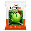 Extreme F1 Hybrid Knol Khol (Kohlrabi) Seeds 1g (1000mg) | Good Germination Vegetable Seeds for Kitchen Garden, Home Garden & Farm | Green Knol Khol Seeds