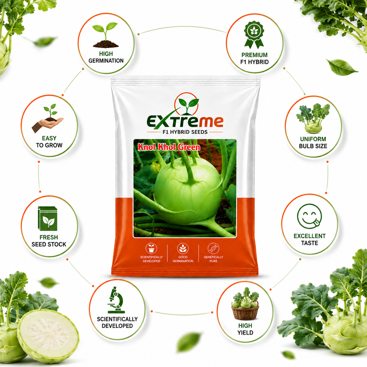 Extreme F1 Hybrid Knol Khol (Kohlrabi) Seeds 1g (1000mg) | Good Germination Vegetable Seeds for Kitchen Garden, Home Garden & Farm | Green Knol Khol Seeds