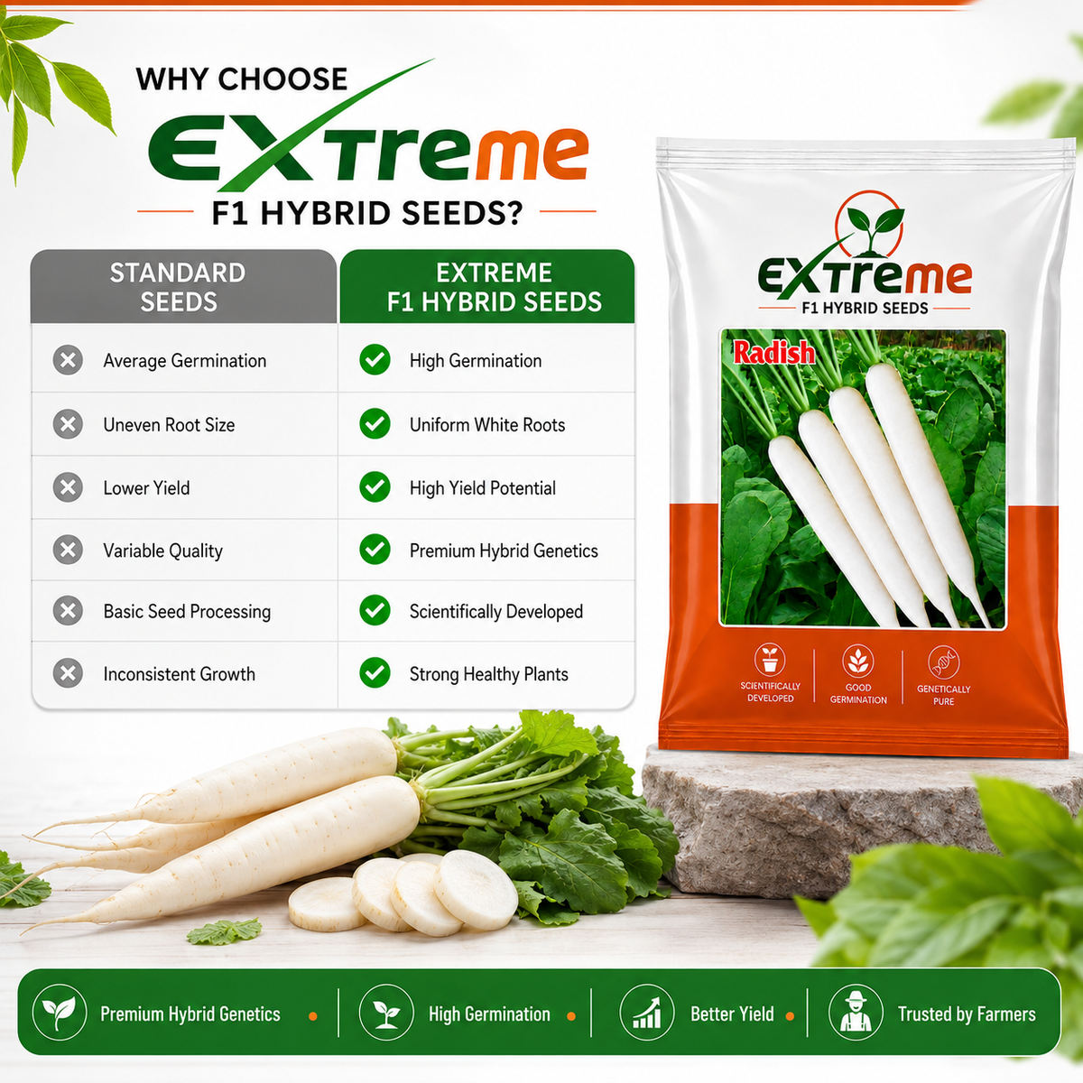 Extreme F1 Hybrid Radish Seeds 10g | Good Germination White Radish Vegetable Seeds | Mooli Seeds for Kitchen Garden, Home Garden & Farm