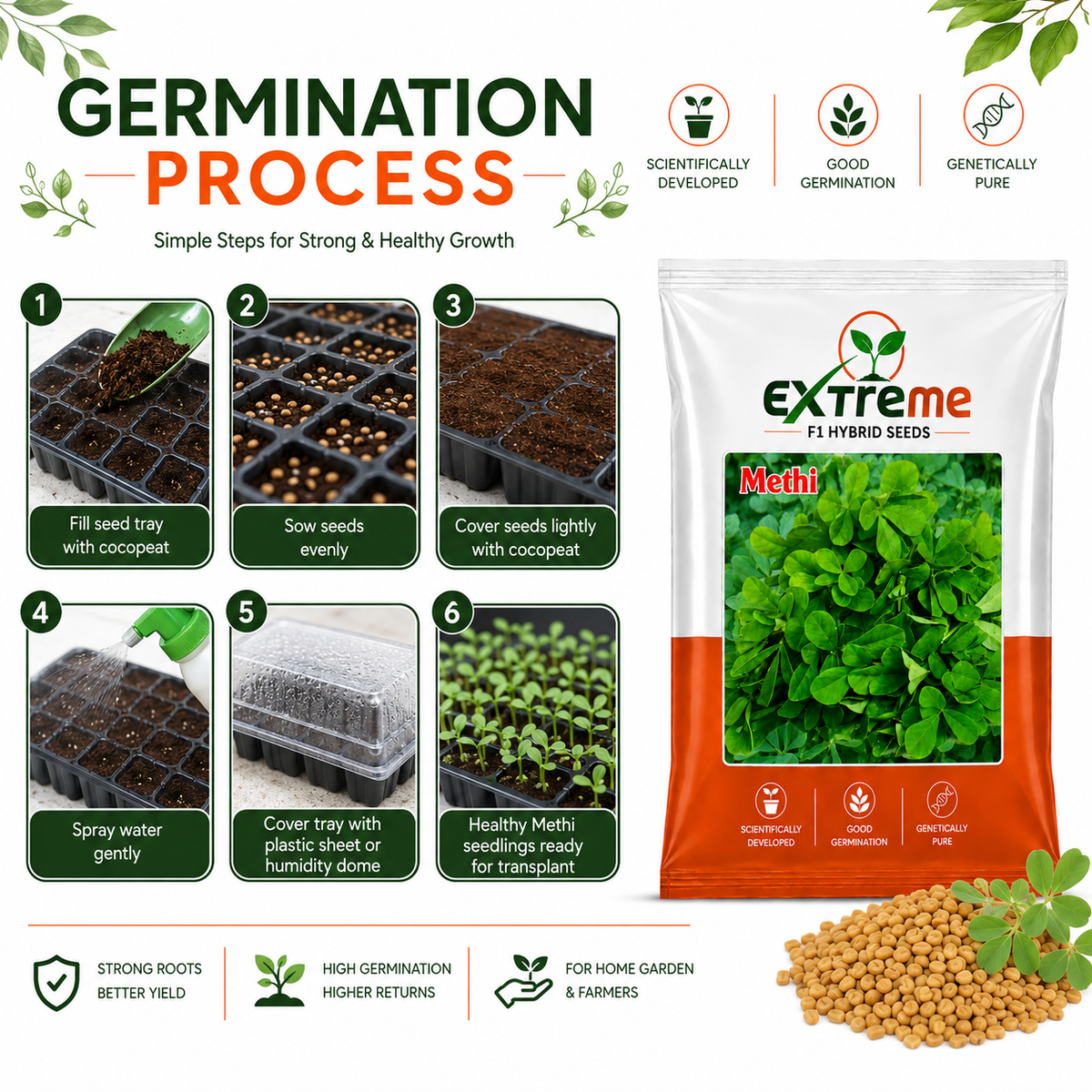 Extreme F1 Hybrid Methi (Fenugreek) Seeds 12g | Good Germination Vegetable Seeds for Kitchen Garden, Home Garden & Farm | Fresh Methi Seeds