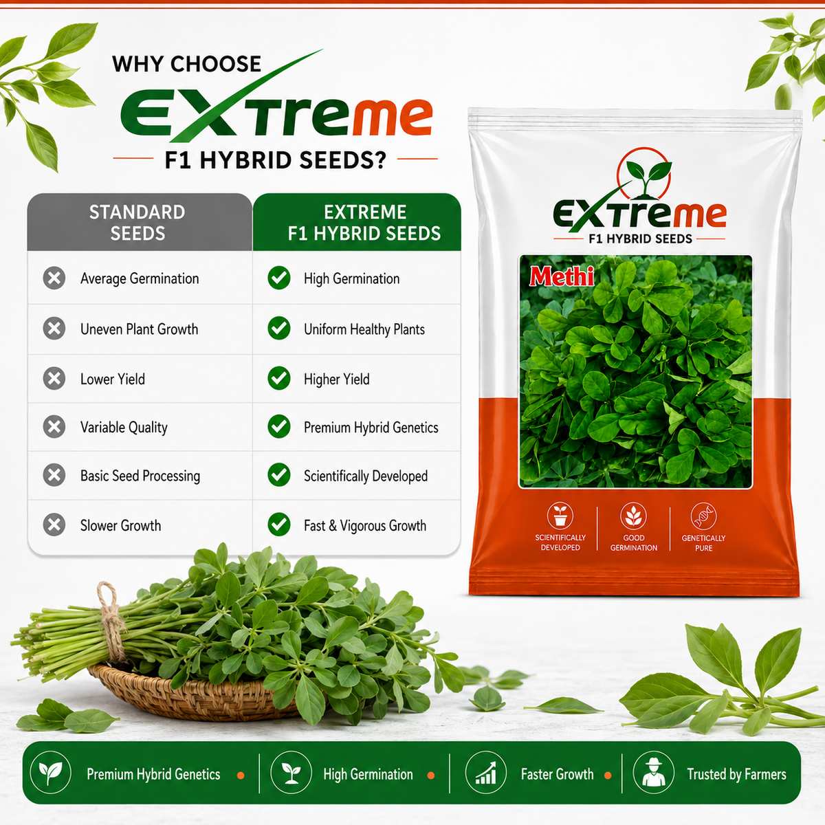Extreme F1 Hybrid Methi (Fenugreek) Seeds 12g | Good Germination Vegetable Seeds for Kitchen Garden, Home Garden & Farm | Fresh Methi Seeds