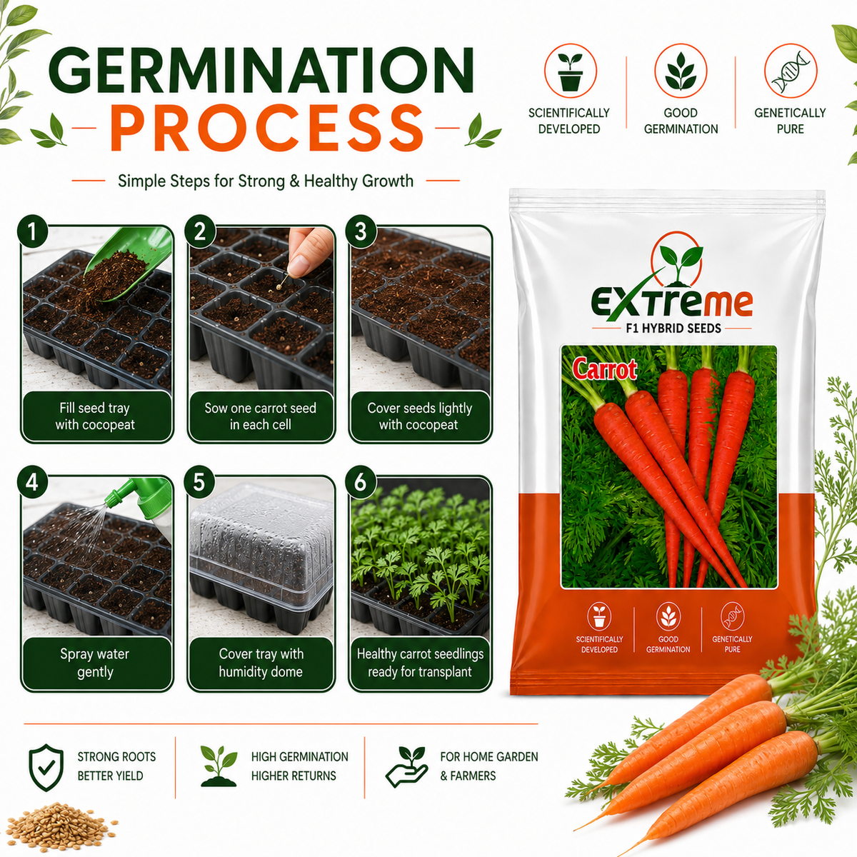 Extreme F1 Hybrid Carrot Seeds 10g | Good Germination Orange Carrot Vegetable Seeds | Gajar Seeds for Kitchen Garden, Home Garden & Farm