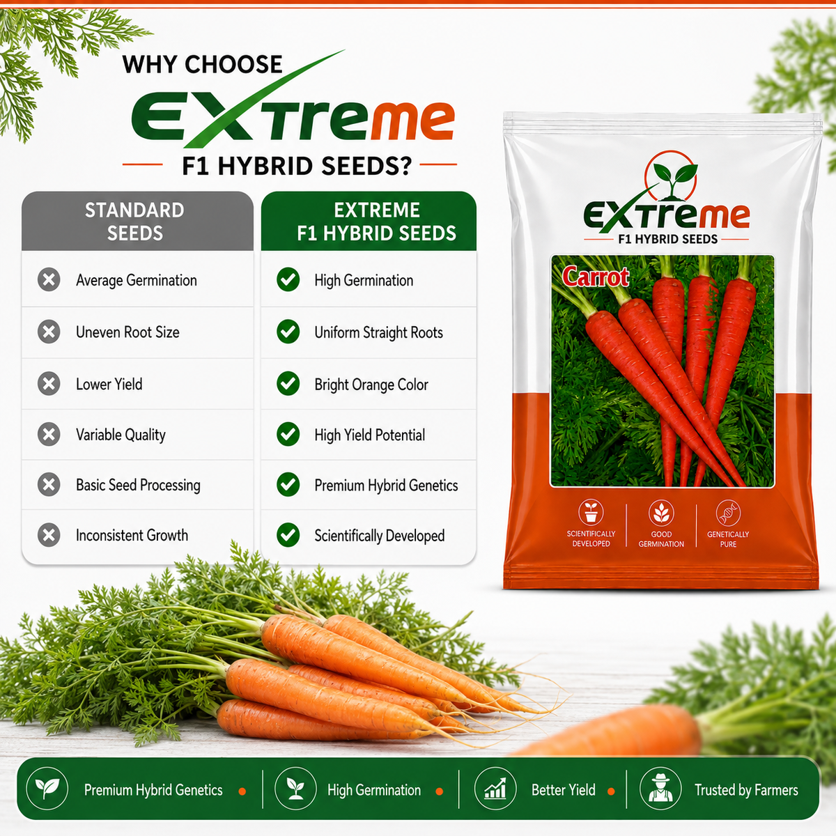 Extreme F1 Hybrid Carrot Seeds 10g | Good Germination Orange Carrot Vegetable Seeds | Gajar Seeds for Kitchen Garden, Home Garden & Farm