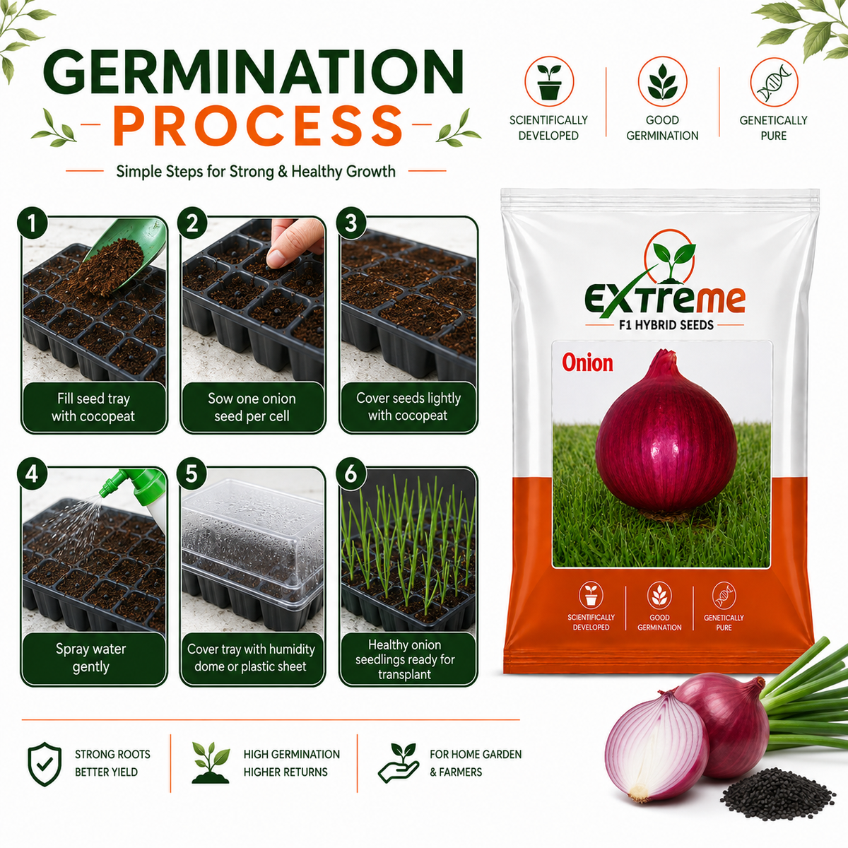 Extreme F1 Hybrid Onion Seeds 10 GM | Pyaz Seeds & Onion Beej | Vegetable Seeds for Home, Kitchen & Terrace Garden | Outdoor Gardening