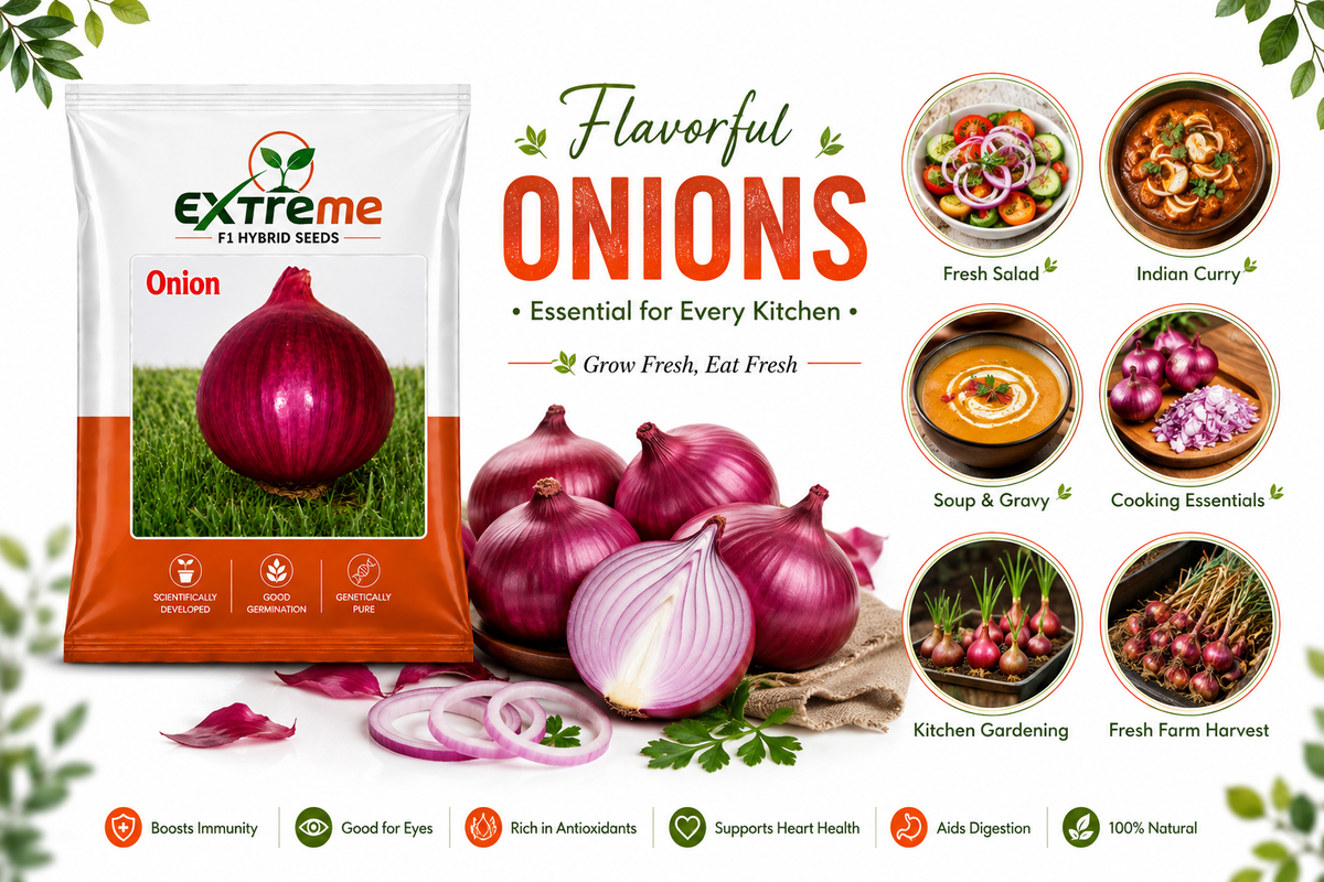 Extreme F1 Hybrid Onion Seeds 10 GM | Pyaz Seeds & Onion Beej | Vegetable Seeds for Home, Kitchen & Terrace Garden | Outdoor Gardening