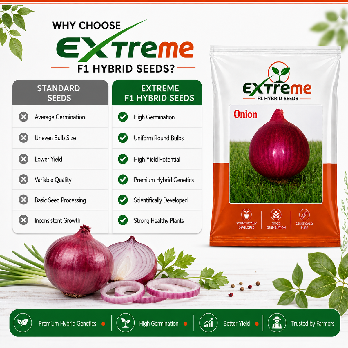 Extreme F1 Hybrid Onion Seeds 10 GM | Pyaz Seeds & Onion Beej | Vegetable Seeds for Home, Kitchen & Terrace Garden | Outdoor Gardening
