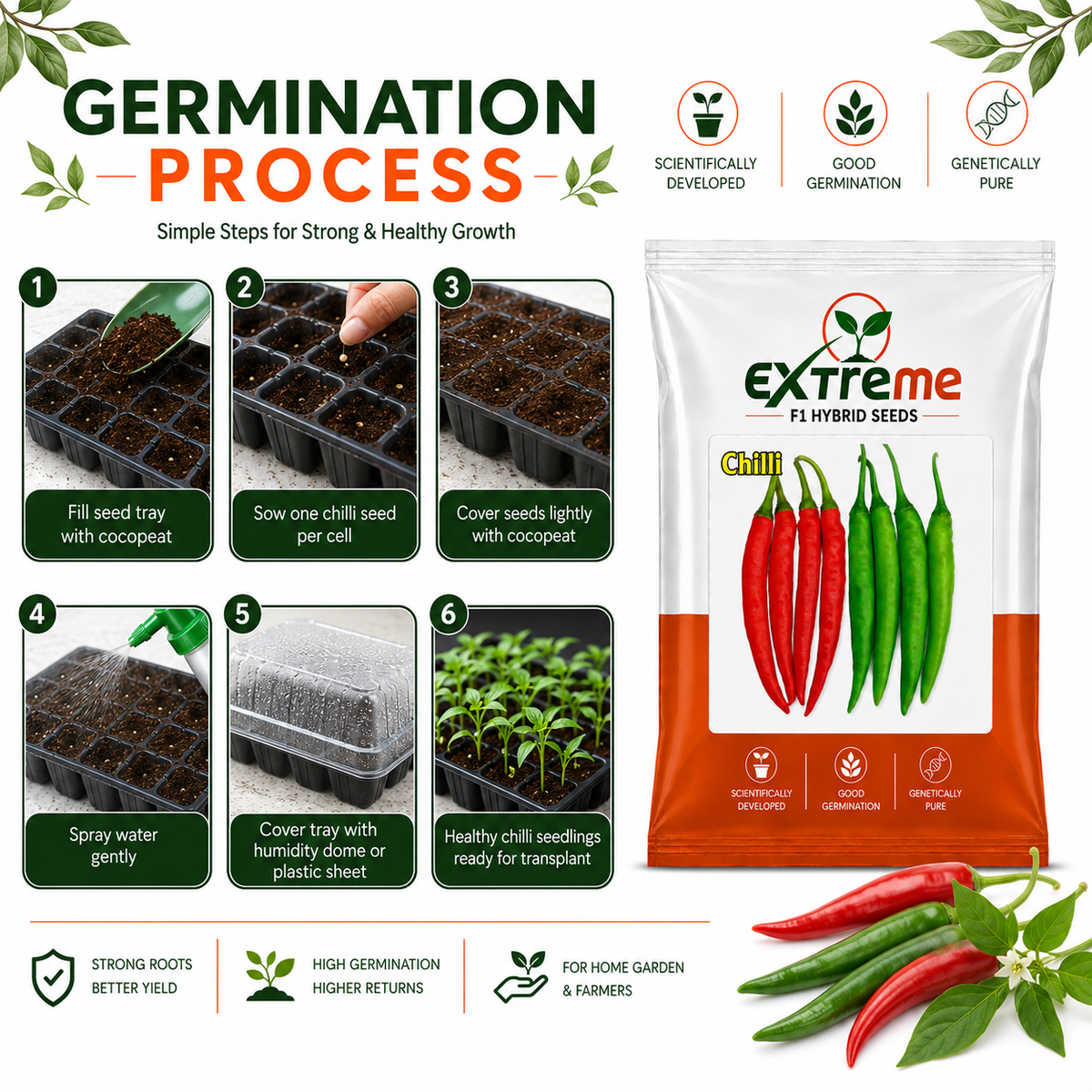 Extreme F1 Hybrid Chilli (Mirchi) Seeds 1g (1000mg) | Good Germination Vegetable Seeds for Kitchen Garden, Home Garden & Farm | Green & Red Chilli Seeds