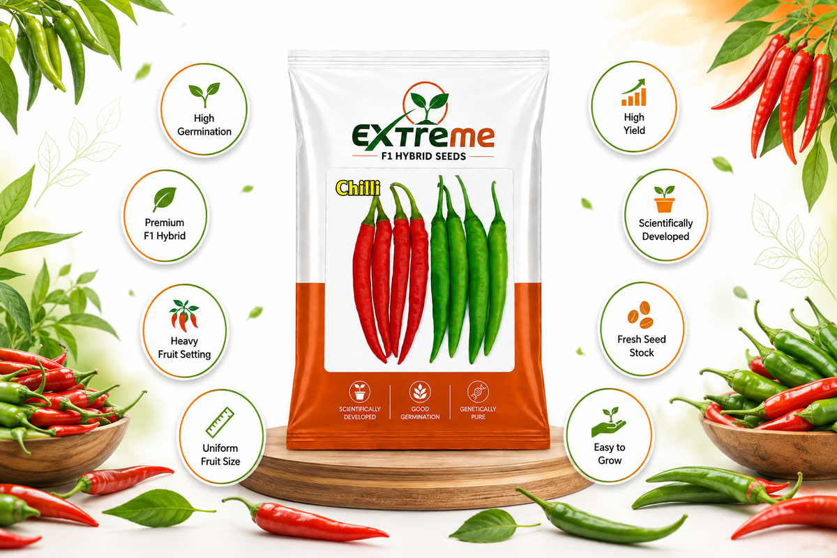 Extreme F1 Hybrid Chilli (Mirchi) Seeds 1g (1000mg) | Good Germination Vegetable Seeds for Kitchen Garden, Home Garden & Farm | Green & Red Chilli Seeds
