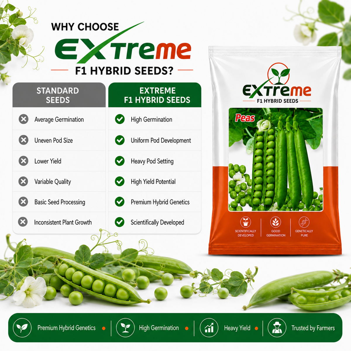 Extreme F1 Hybrid Peas (Matar) Seeds 20g | Good Germination Green Peas Vegetable Seeds for Kitchen Garden, Home Garden & Farm