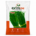 Extreme F1 Hybrid Singra Seeds 10g | Green Leafy Vegetable Seeds | Singra Beej for Kitchen Garden, Home Garden, Terrace Garden & Farm