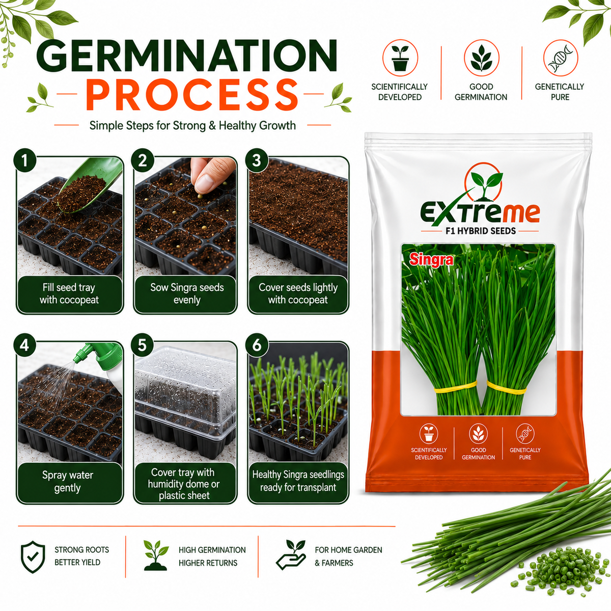 Extreme F1 Hybrid Singra Seeds 10g | Green Leafy Vegetable Seeds | Singra Beej for Kitchen Garden, Home Garden, Terrace Garden & Farm