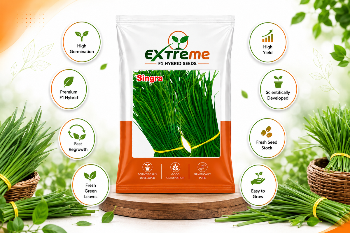 Extreme F1 Hybrid Singra Seeds 10g | Green Leafy Vegetable Seeds | Singra Beej for Kitchen Garden, Home Garden, Terrace Garden & Farm