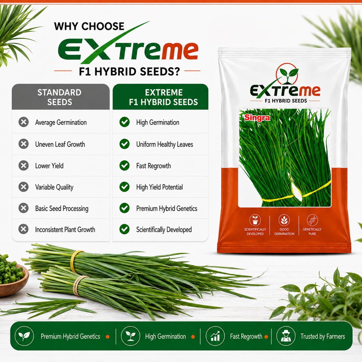 Extreme F1 Hybrid Singra Seeds 10g | Green Leafy Vegetable Seeds | Singra Beej for Kitchen Garden, Home Garden, Terrace Garden & Farm