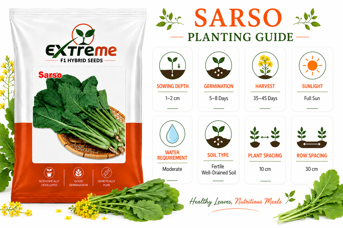 Extreme F1 Hybrid Sarso Seeds 10g | Mustard Seeds for Vegetable & Leafy Green Farming | Sarson for Kitchen Garden, Home Garden & Farm