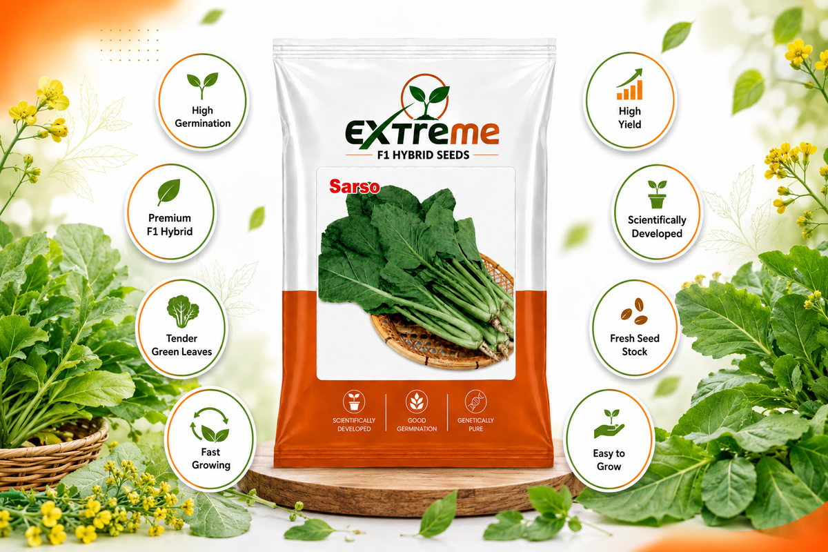 Extreme F1 Hybrid Sarso Seeds 10g | Mustard Seeds for Vegetable & Leafy Green Farming | Sarson for Kitchen Garden, Home Garden & Farm