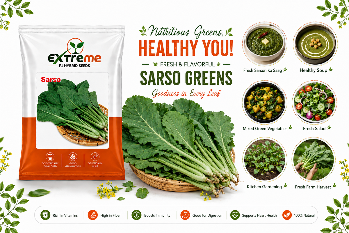 Extreme F1 Hybrid Sarso Seeds 10g | Mustard Seeds for Vegetable & Leafy Green Farming | Sarson for Kitchen Garden, Home Garden & Farm