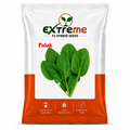 Extreme F1 Hybrid Palak (Spinach) Seeds 20g | Good Germination Vegetable Seeds for Kitchen Garden, Home Garden & Farm | Fresh Green Spinach Seeds