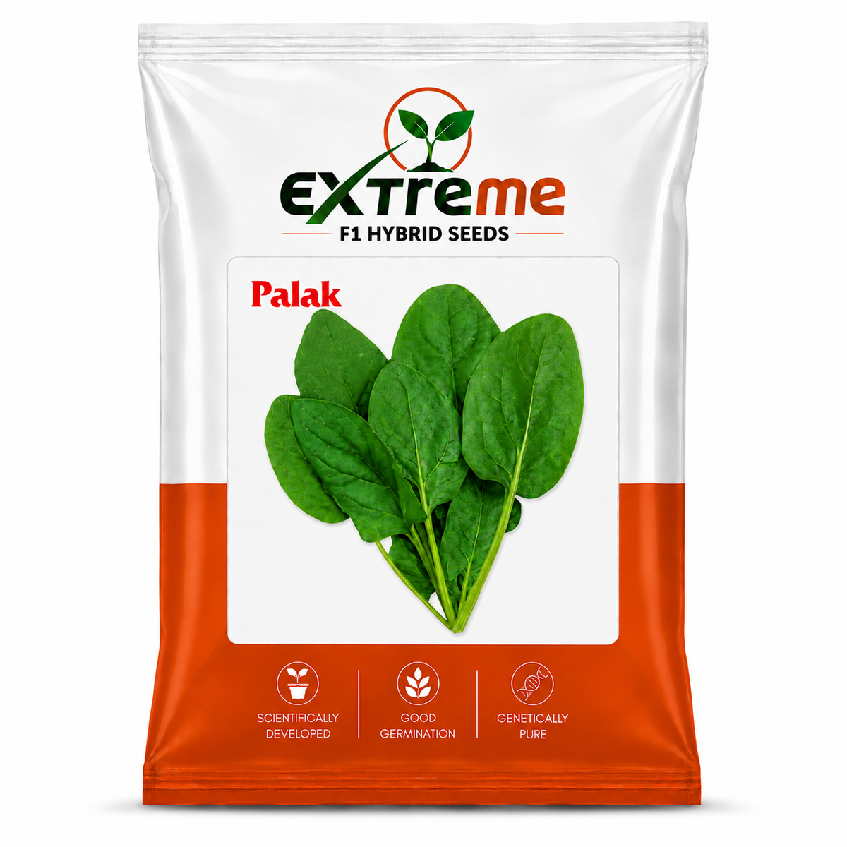 Extreme F1 Hybrid Palak (Spinach) Seeds 20g | Good Germination Vegetable Seeds for Kitchen Garden, Home Garden & Farm | Fresh Green Spinach Seeds