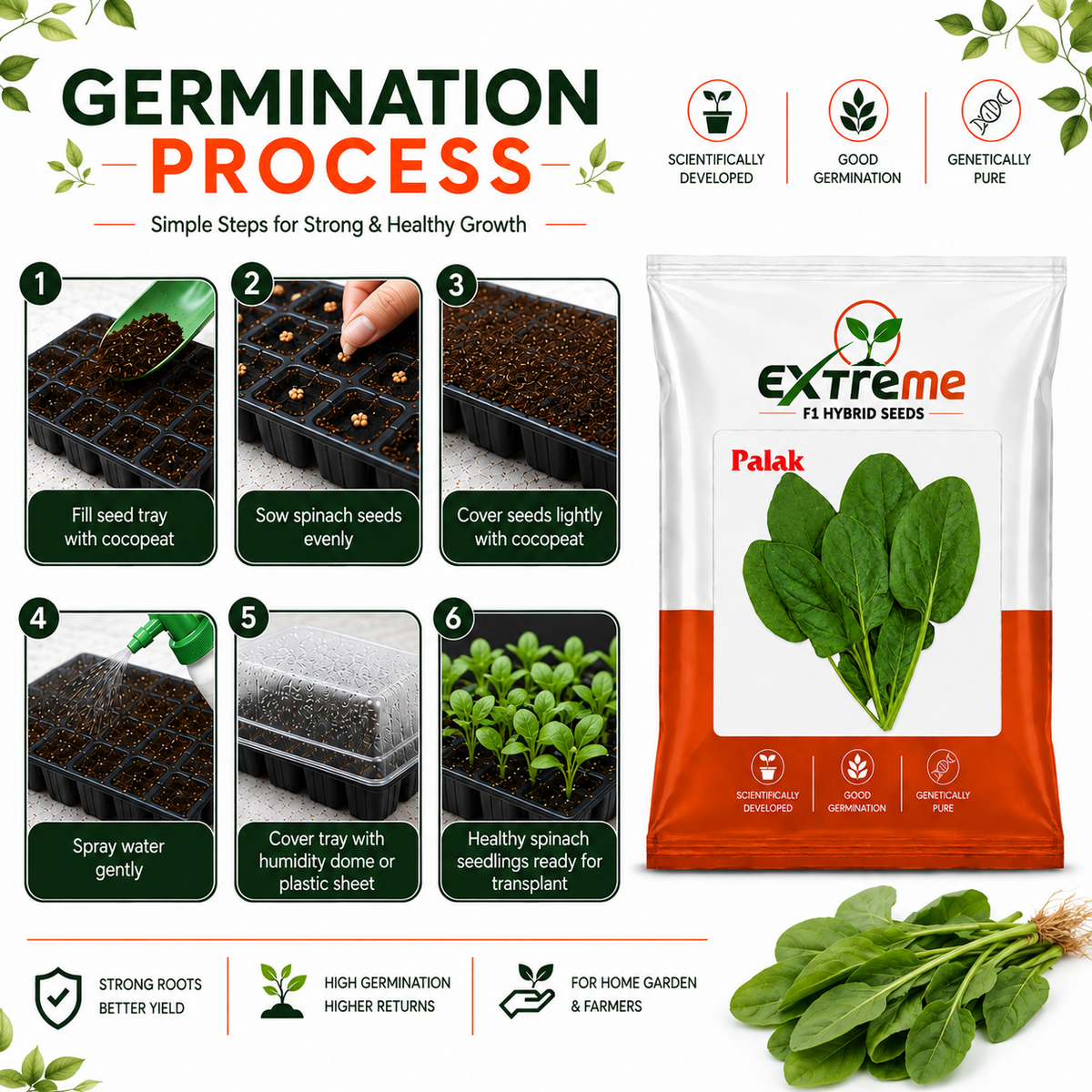 Extreme F1 Hybrid Palak (Spinach) Seeds 20g | Good Germination Vegetable Seeds for Kitchen Garden, Home Garden & Farm | Fresh Green Spinach Seeds