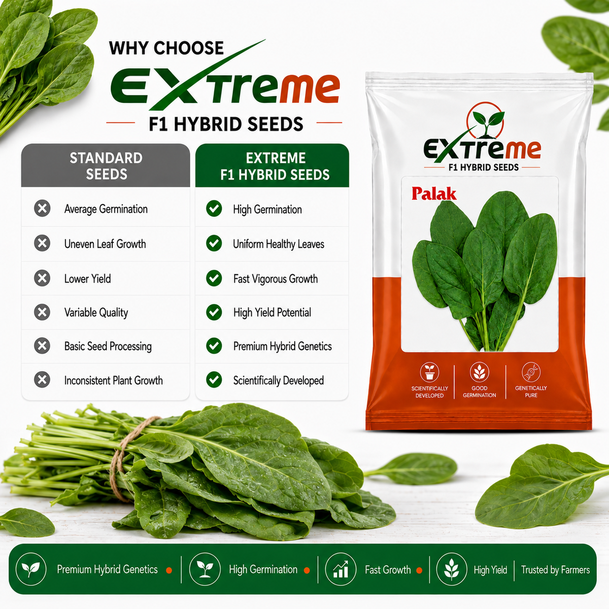 Extreme F1 Hybrid Palak (Spinach) Seeds 20g | Good Germination Vegetable Seeds for Kitchen Garden, Home Garden & Farm | Fresh Green Spinach Seeds