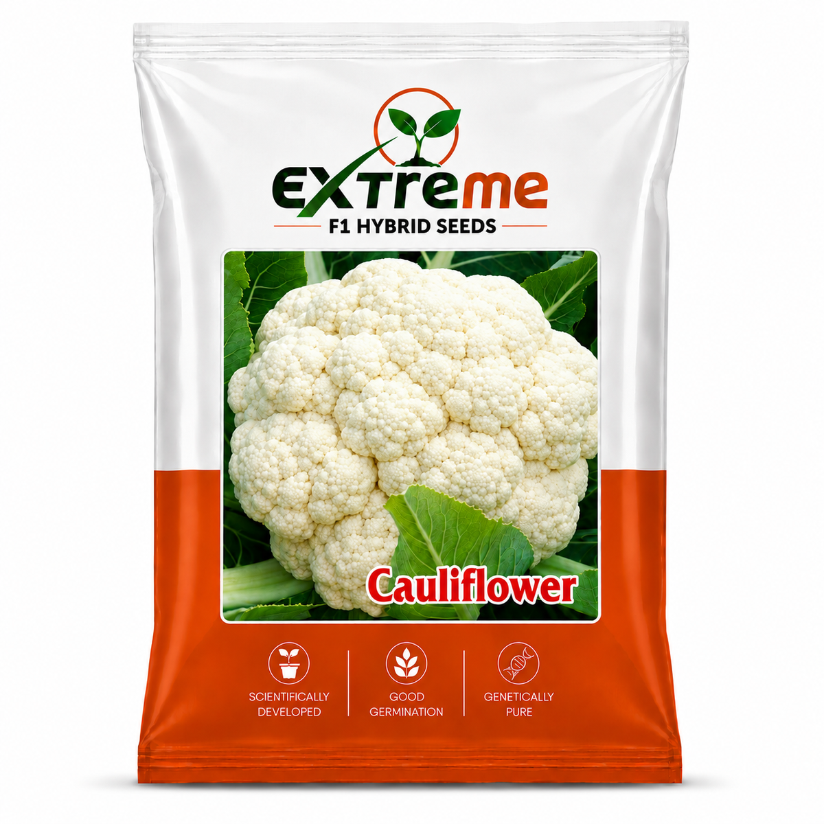 Extreme F1 Hybrid Cauliflower (Gobhi) Seeds 1g (1000mg) | Good Germination Vegetable Seeds for Kitchen Garden, Home Garden & Farm | Fresh White Cauliflower Seeds