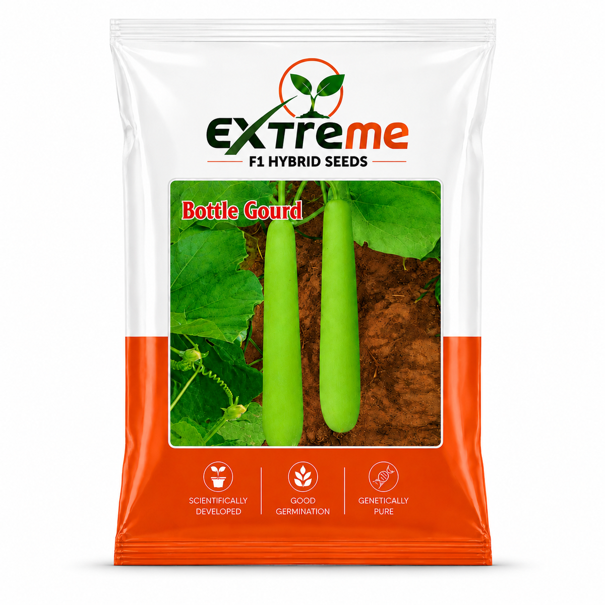 Extreme F1 Hybrid Bottle Gourd (Lauki) Seeds 12g | Good Germination Vegetable Seeds for Kitchen Garden, Home Garden & Farm | Green Bottle Gourd Seeds