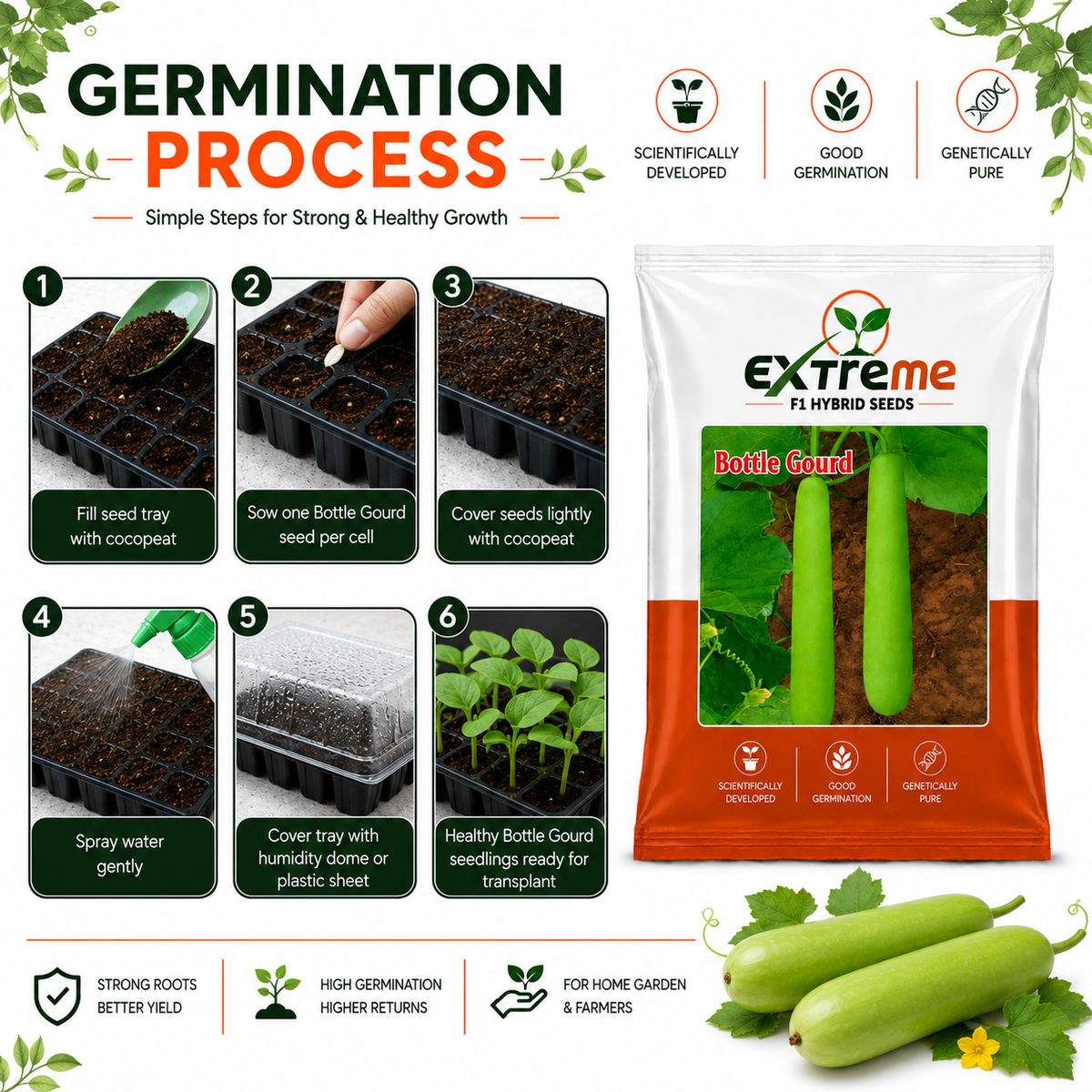 Extreme F1 Hybrid Bottle Gourd (Lauki) Seeds 12g | Good Germination Vegetable Seeds for Kitchen Garden, Home Garden & Farm | Green Bottle Gourd Seeds