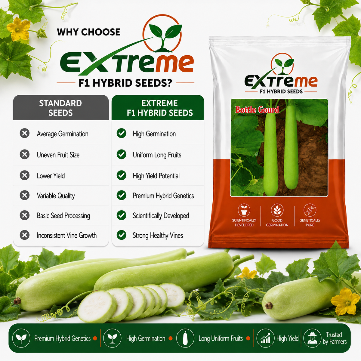 Extreme F1 Hybrid Bottle Gourd (Lauki) Seeds 12g | Good Germination Vegetable Seeds for Kitchen Garden, Home Garden & Farm | Green Bottle Gourd Seeds