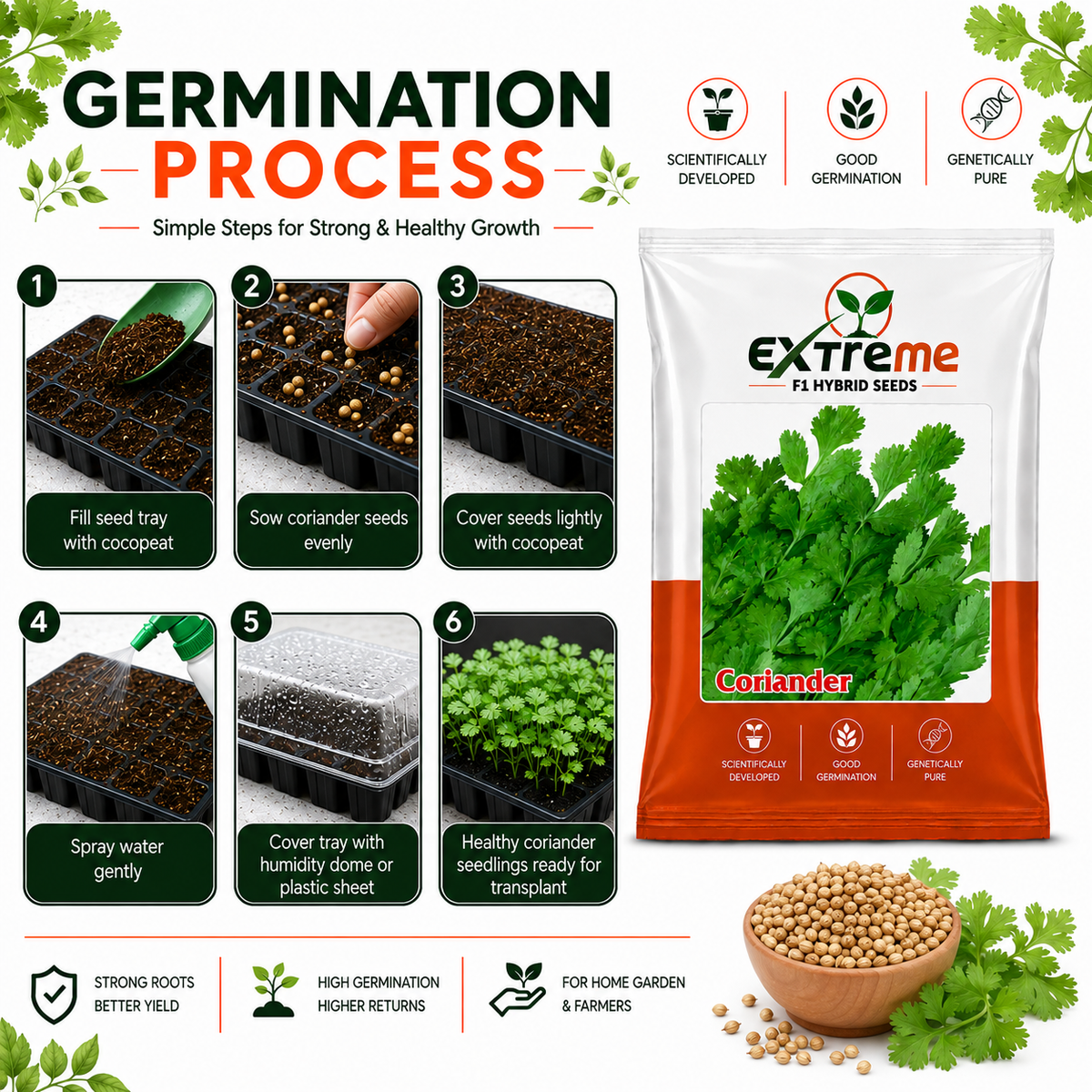 Extreme F1 Hybrid Coriander (Dhaniya) Seeds 10g | Good Germination Vegetable Seeds for Kitchen Garden, Home Garden & Farm | Green Coriander Seeds