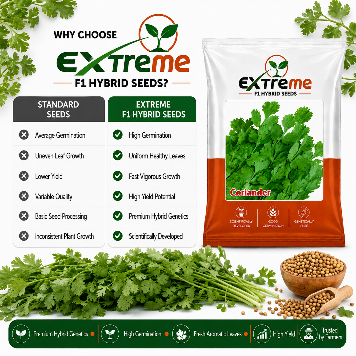 Extreme F1 Hybrid Coriander (Dhaniya) Seeds 10g | Good Germination Vegetable Seeds for Kitchen Garden, Home Garden & Farm | Green Coriander Seeds