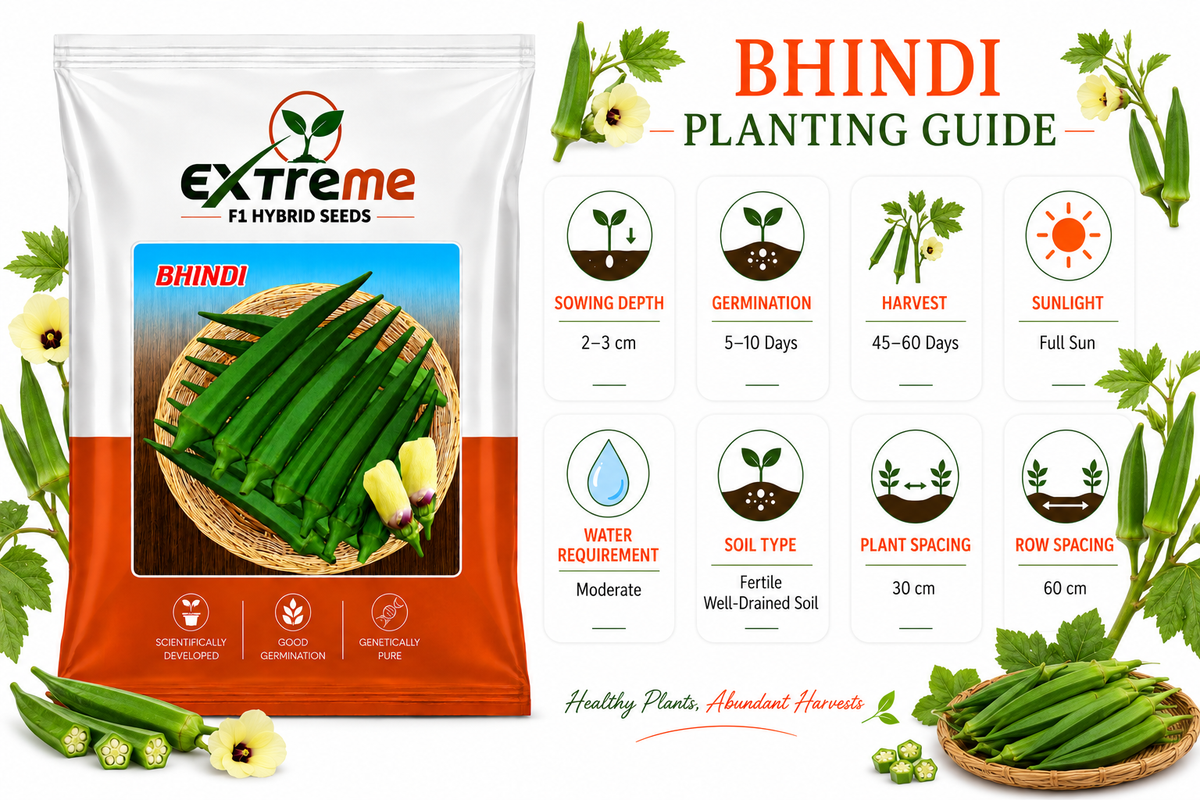 Extreme F1 Hybrid Bhindi (Okra) Seeds 15g | Good Germination Vegetable Seeds for Kitchen Garden, Home Garden & Farm | Green Lady Finger Seeds