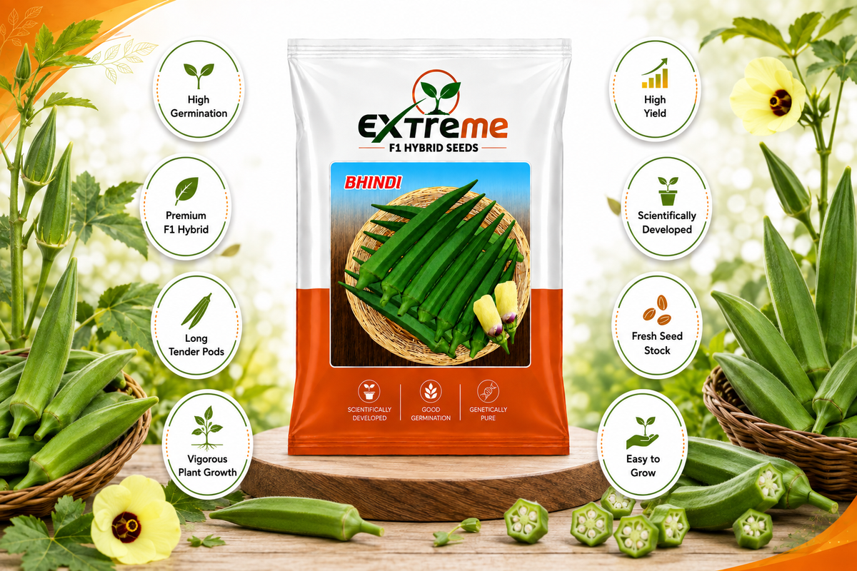 Extreme F1 Hybrid Bhindi (Okra) Seeds 15g | Good Germination Vegetable Seeds for Kitchen Garden, Home Garden & Farm | Green Lady Finger Seeds