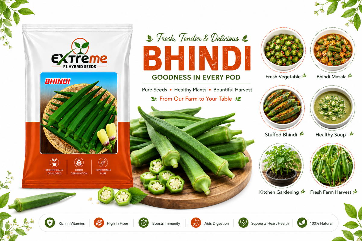 Extreme F1 Hybrid Bhindi (Okra) Seeds 15g | Good Germination Vegetable Seeds for Kitchen Garden, Home Garden & Farm | Green Lady Finger Seeds