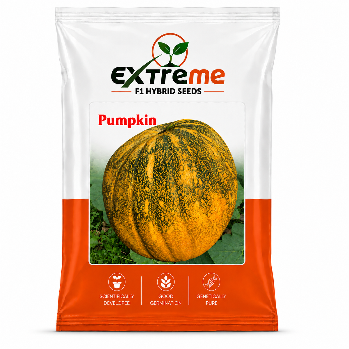 Extreme F1 Hybrid Pumpkin Seeds 5g | Good Germination Vegetable Seeds for Kitchen Garden, Home Garden & Farm | Pumpkin Seeds for Growing
