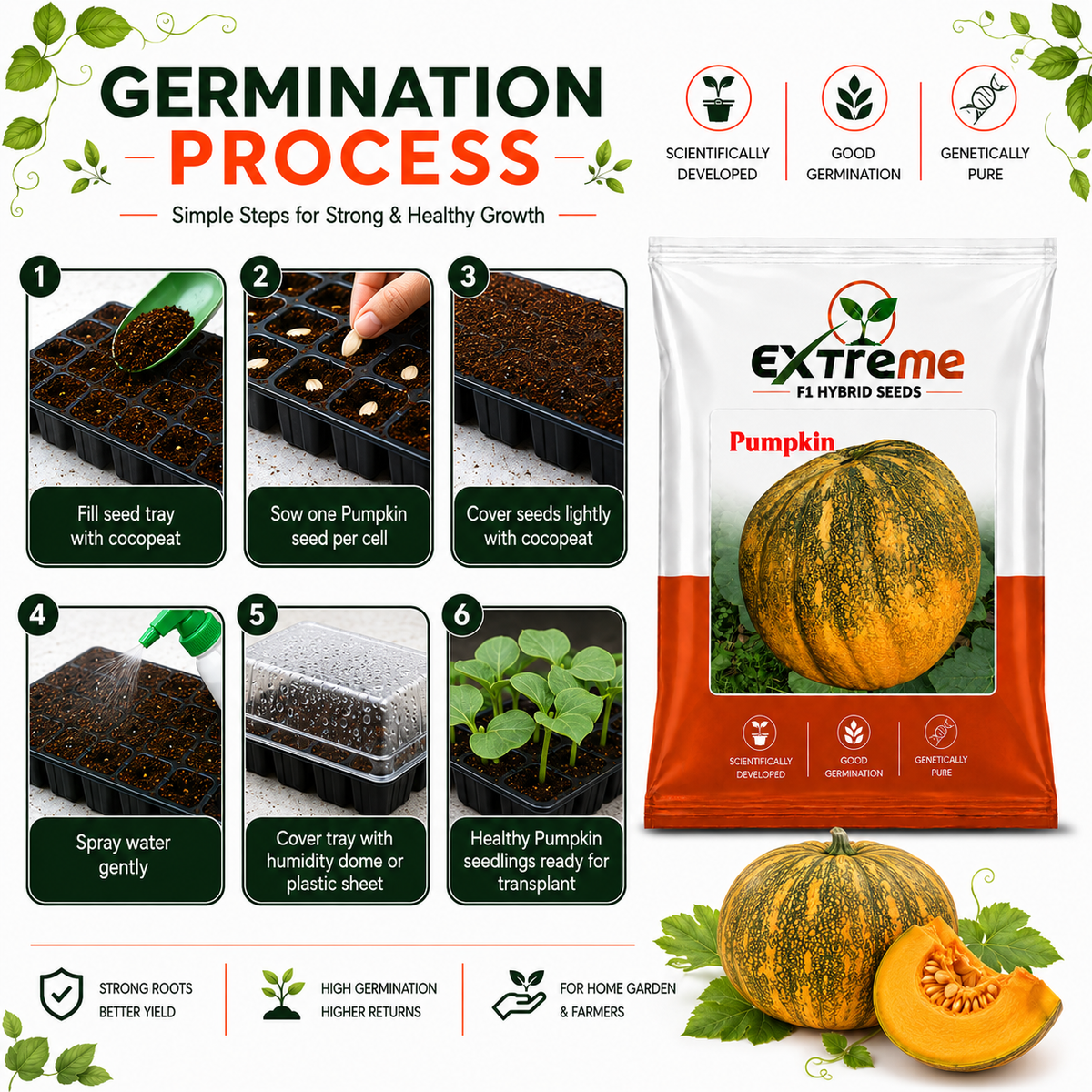 Extreme F1 Hybrid Pumpkin Seeds 5g | Good Germination Vegetable Seeds for Kitchen Garden, Home Garden & Farm | Pumpkin Seeds for Growing