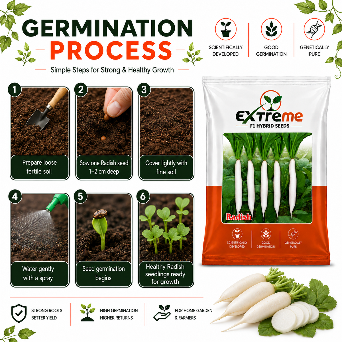 Extreme F1 Hybrid Palak Patta Radish Seeds 10g | White Radish Mooli Seeds | Good Germination Vegetable Seeds for Kitchen Garden, Home Garden & Farm