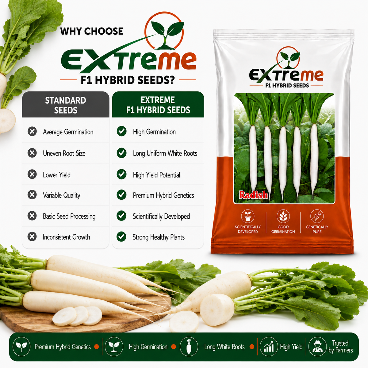 Extreme F1 Hybrid Palak Patta Radish Seeds 10g | White Radish Mooli Seeds | Good Germination Vegetable Seeds for Kitchen Garden, Home Garden & Farm