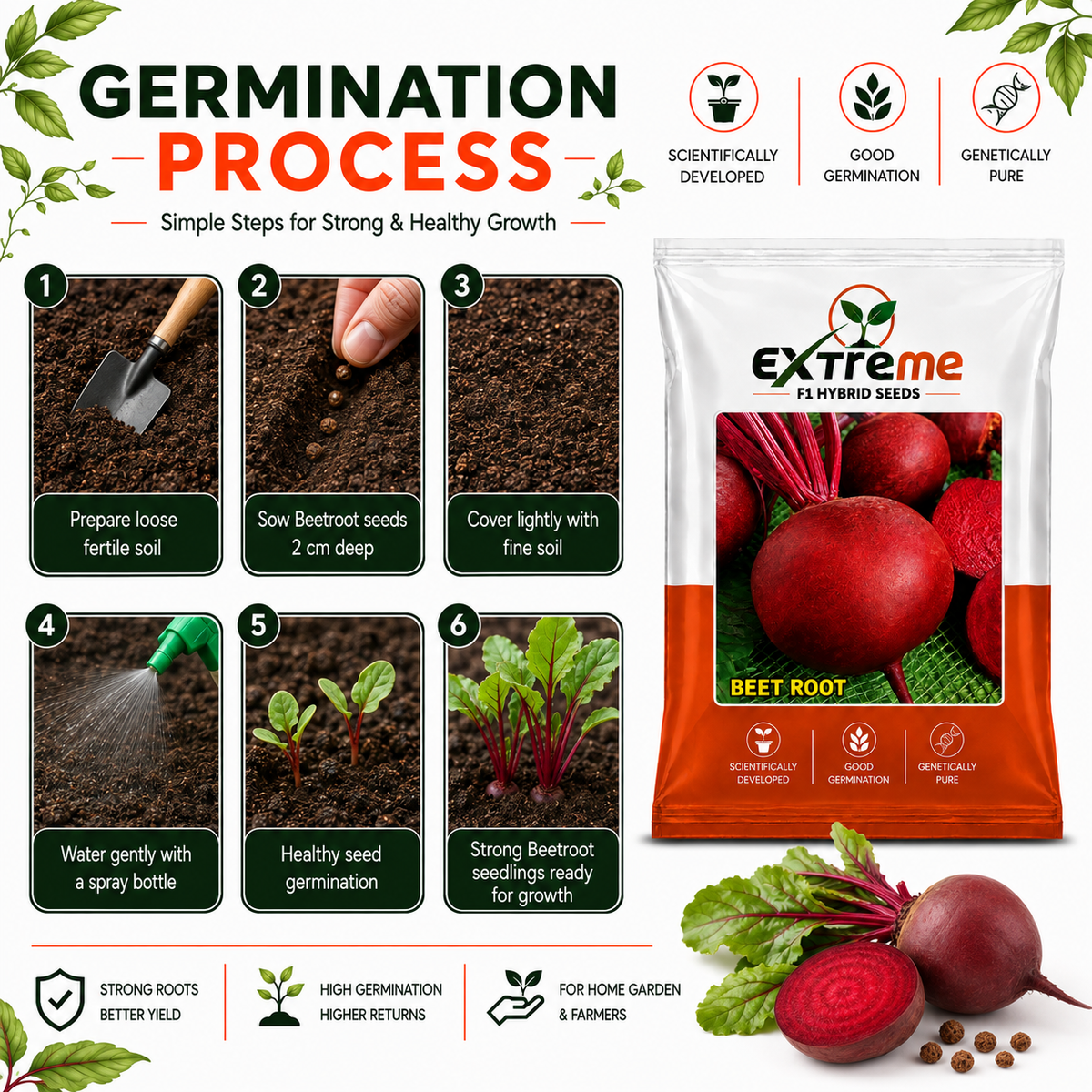 Extreme F1 Hybrid Beet Root (Chukandar) Seeds 5g | High Germination Vegetable Seeds for Kitchen Garden, Home Garden & Farm | Red, Nutritious, Round Beetroot Seeds