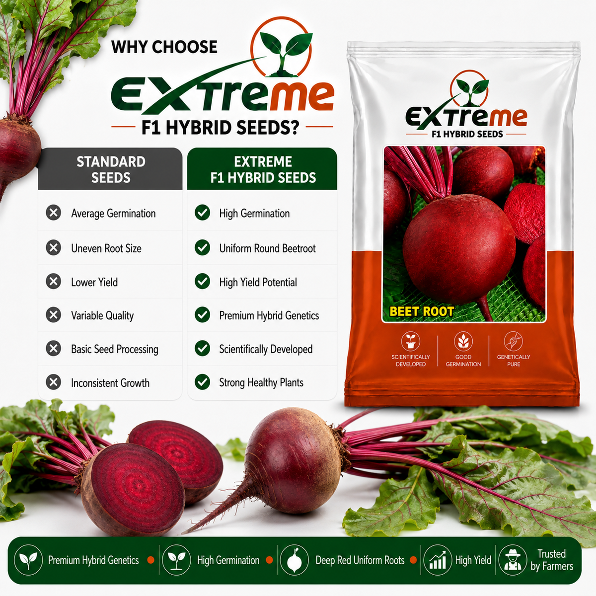 Extreme F1 Hybrid Beet Root (Chukandar) Seeds 5g | High Germination Vegetable Seeds for Kitchen Garden, Home Garden & Farm | Red, Nutritious, Round Beetroot Seeds