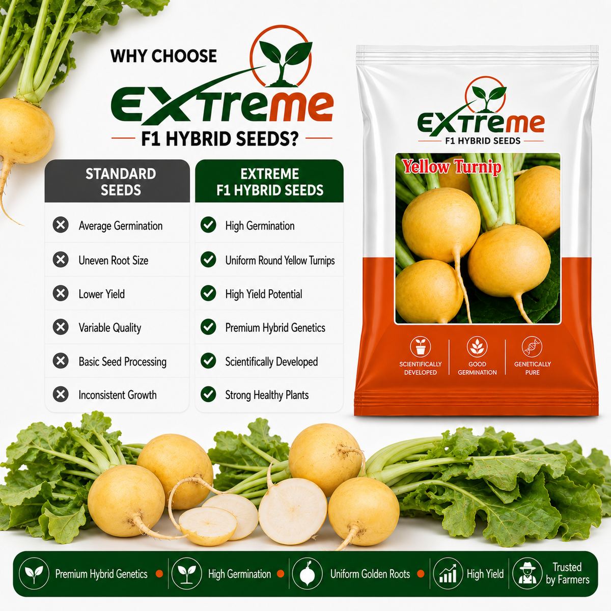 Extreme F1 Hybrid Yellow Turnip Seeds 10g | Yellow Turnip Beej | Vegetable Seeds for Kitchen Garden, Home Garden, Terrace Garden & Farming
