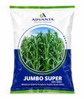 Advanta Jumbo Super ADV 6690 Sorghum Sudangrass Seeds (SSG) Multicut Fooder
