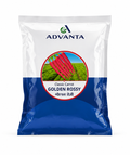 Advanta OP Classic Golden Rossy Carrot Seeds, Uniform, Sweet Red Roots For High Yield