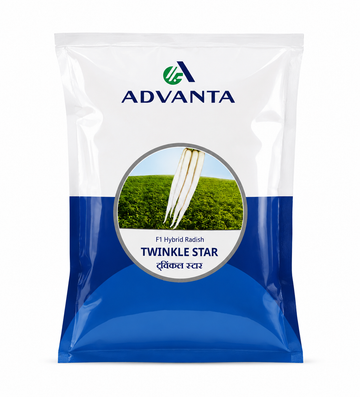 Advanta F1 Hybrid Twinkle Star Radish Seed, Smooth Root Surface And Good Taste
