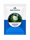 Advanta F1 Hybrid KRISHMA Cauliflower (GOBHI) Seeds, High Yield Variety For All Seasons