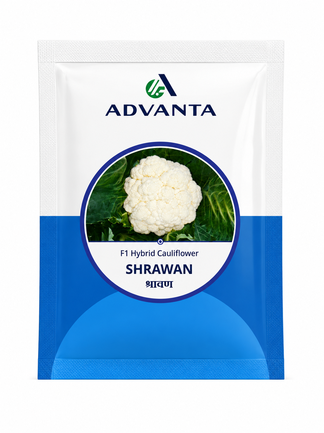 Advanta F1 Hybrid SHRAWAN F1 Hybrid Cauliflower (GOBHI) Seeds, High Yield Variety For All Seasons